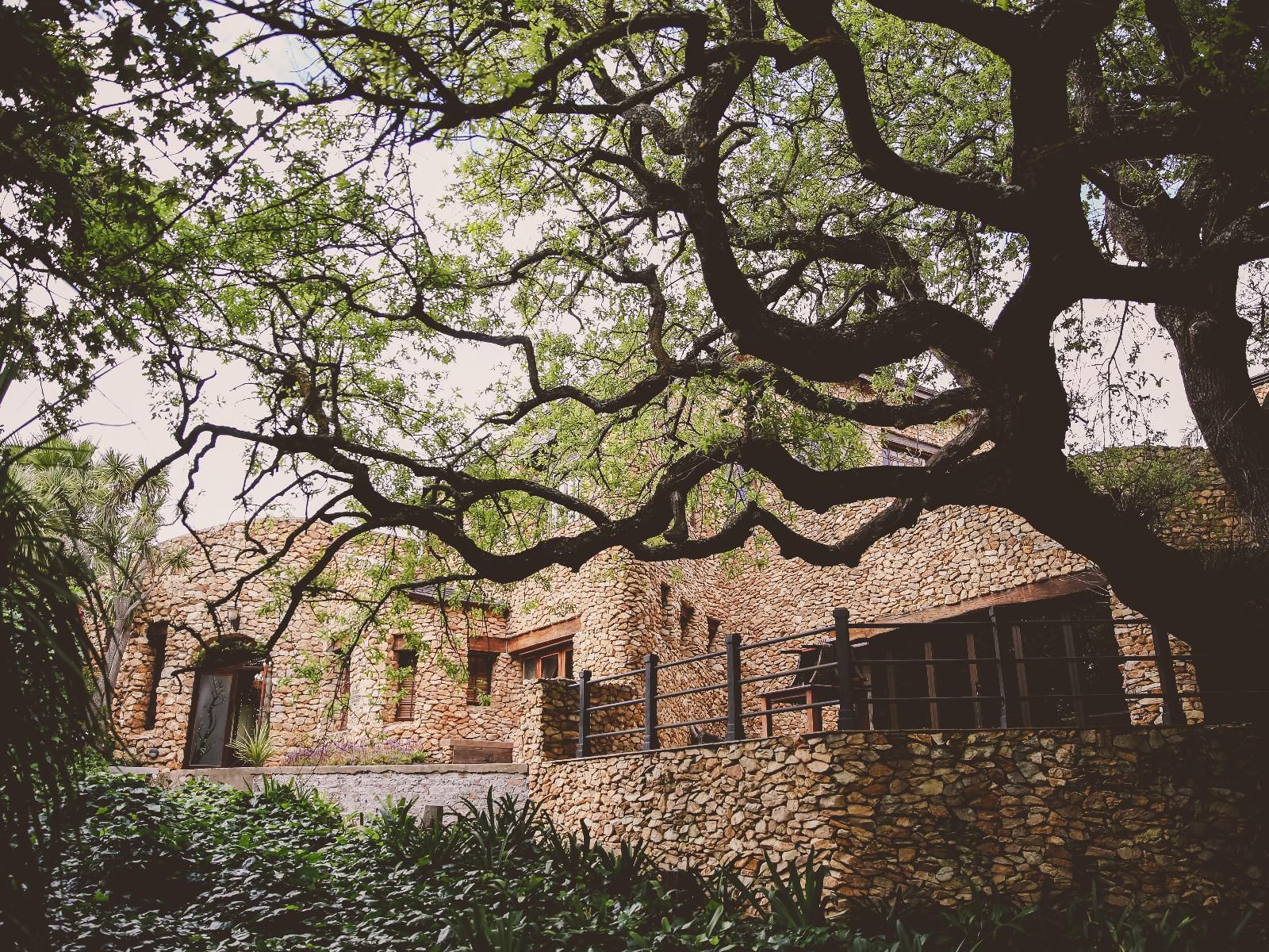 Soaring Eagles Guest Lodge Napier Western Cape South Africa Plant, Nature