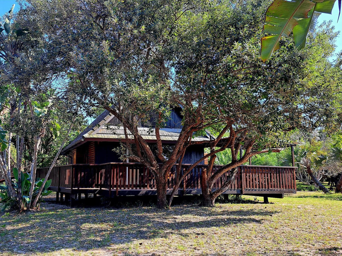 Sodwana Bay Lodge Sodwana Bay Kwazulu Natal South Africa Tree, Plant, Nature, Wood