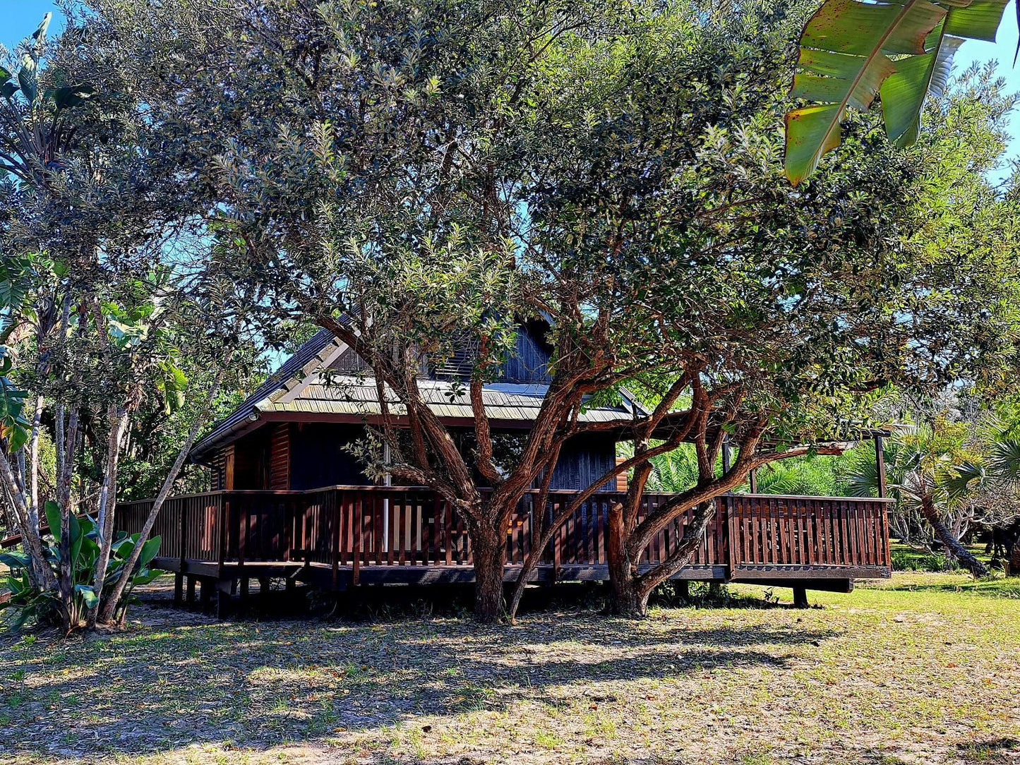 Sodwana Bay Lodge Sodwana Bay Kwazulu Natal South Africa Tree, Plant, Nature, Wood