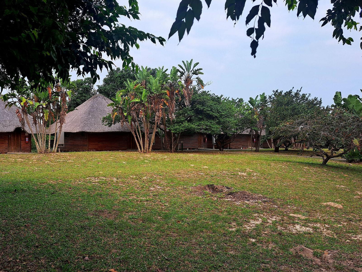 Sodwana Bay Lodge Sodwana Bay Kwazulu Natal South Africa Complementary Colors, Building, Architecture, House, Palm Tree, Plant, Nature, Wood