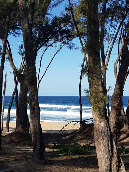 Sodwana View Holiday Homes Sodwana Bay Kwazulu Natal South Africa Beach, Nature, Sand, Tree, Plant, Wood, Ocean, Waters