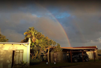 Sodwana View Holiday Homes Sodwana Bay Kwazulu Natal South Africa Palm Tree, Plant, Nature, Wood, Rainbow