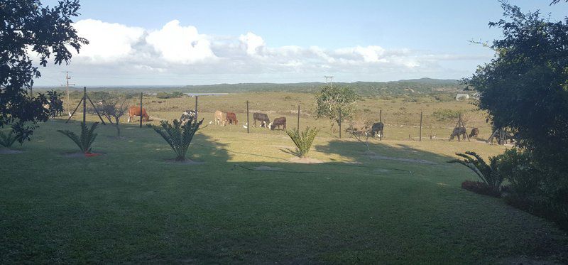 Sodwana View Holiday Homes Sodwana Bay Kwazulu Natal South Africa Lowland, Nature