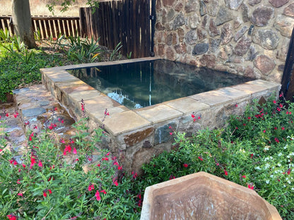 Soetvlei Guest Farm, Garden, Nature, Plant, Swimming, Water Sport, Sport, Person, Swimming Pool