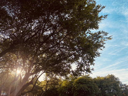 Soetvlei Tented Farm Camp Magaliesburg Gauteng South Africa Plant, Nature, Sky, Tree, Wood