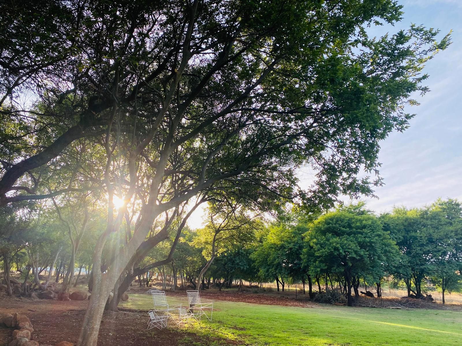 Soetvlei Tented Farm Camp Magaliesburg Gauteng South Africa Tree, Plant, Nature, Wood