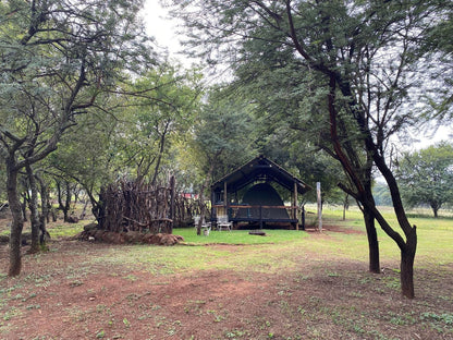 Soetvlei Tented Farm Camp Magaliesburg Gauteng South Africa Tree, Plant, Nature, Wood