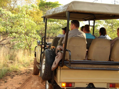 Sofala Lodge, Soldier, Person, Forest, Nature, Plant, Tree, Wood, Quad Bike, Vehicle