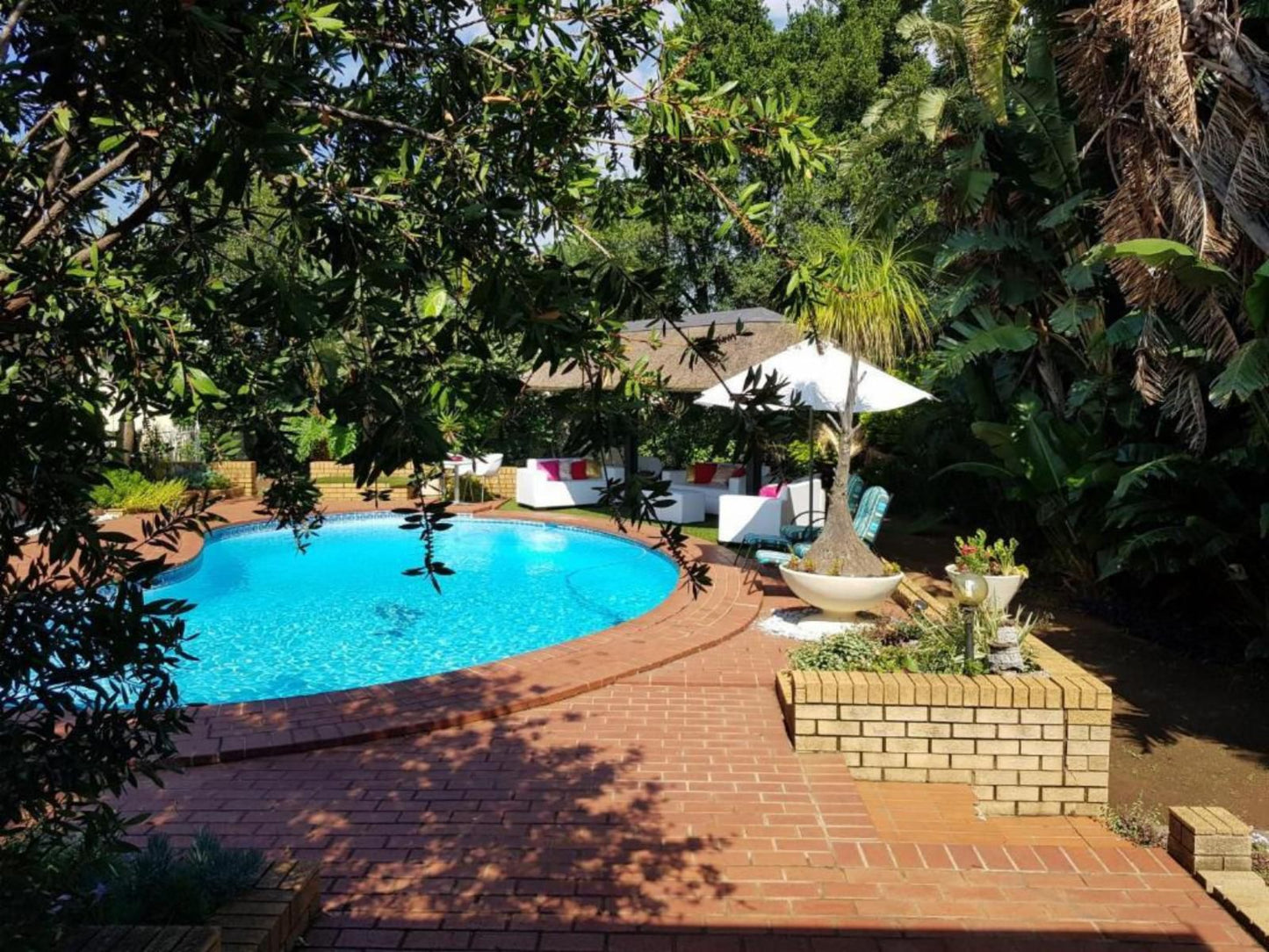 Sollunaa Guesthouse Wendywood Johannesburg Gauteng South Africa Palm Tree, Plant, Nature, Wood, Garden, Swimming Pool