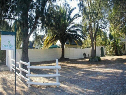 Somer Place B&B, Palm Tree, Plant, Nature, Wood