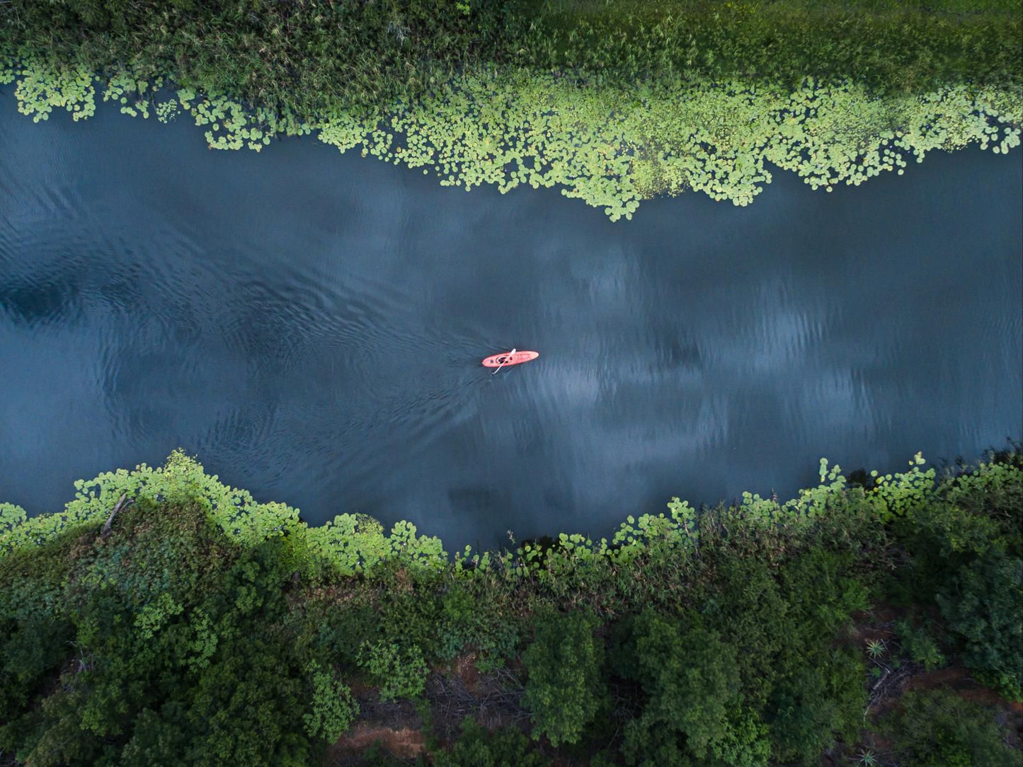 Somerset Gift Getaway Farm Swellendam Western Cape South Africa Canoe, Vehicle, River, Nature, Waters