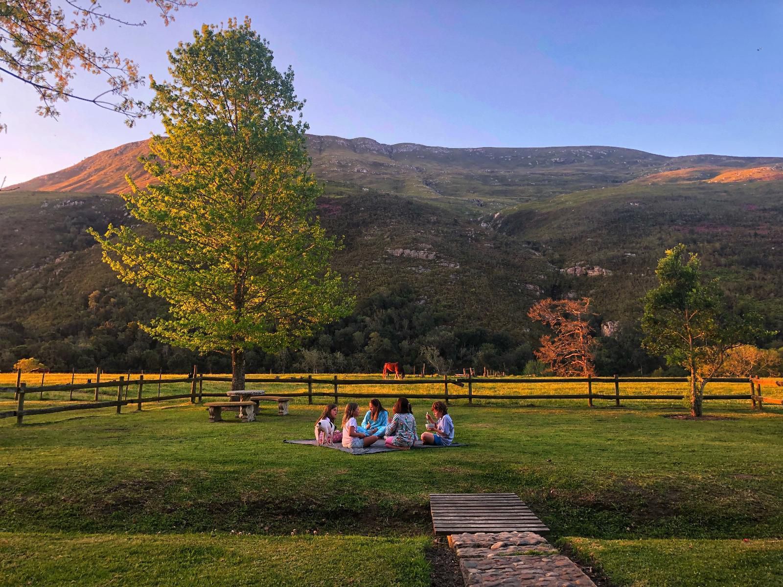 Somerset Gift Getaway Farm Swellendam Western Cape South Africa Complementary Colors, Mountain, Nature, Highland