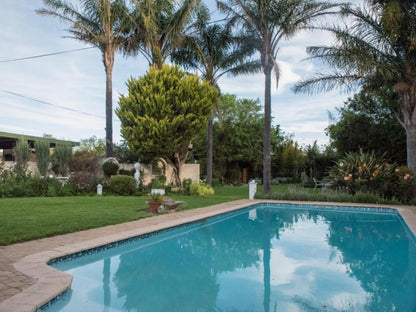 Somerset Lodge Somerset East Eastern Cape South Africa Palm Tree, Plant, Nature, Wood, Garden, Swimming Pool