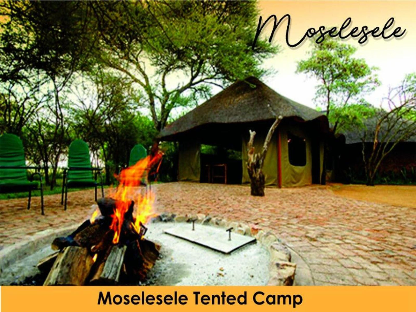Sondela Nature Reserve And Spa Moselesele Tent Camp Bela Bela Warmbaths Limpopo Province South Africa Fire, Nature, Tent, Architecture