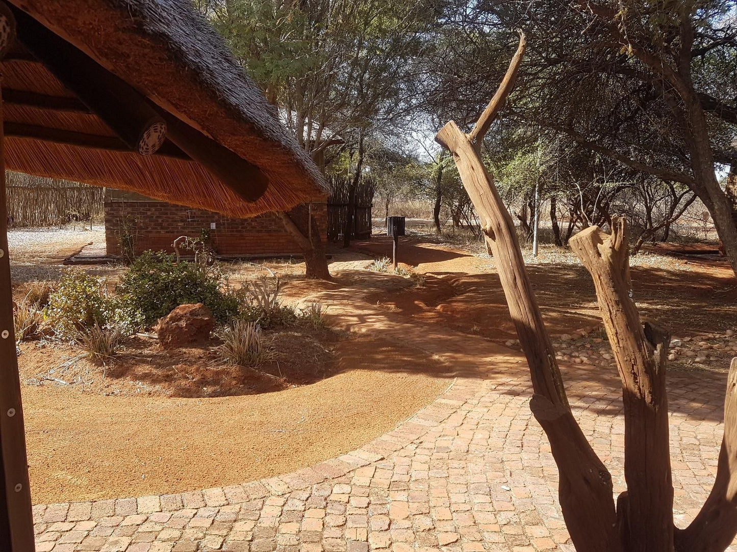 Sondela Nature Reserve And Spa Moselesele Tent Camp Bela Bela Warmbaths Limpopo Province South Africa Desert, Nature, Sand