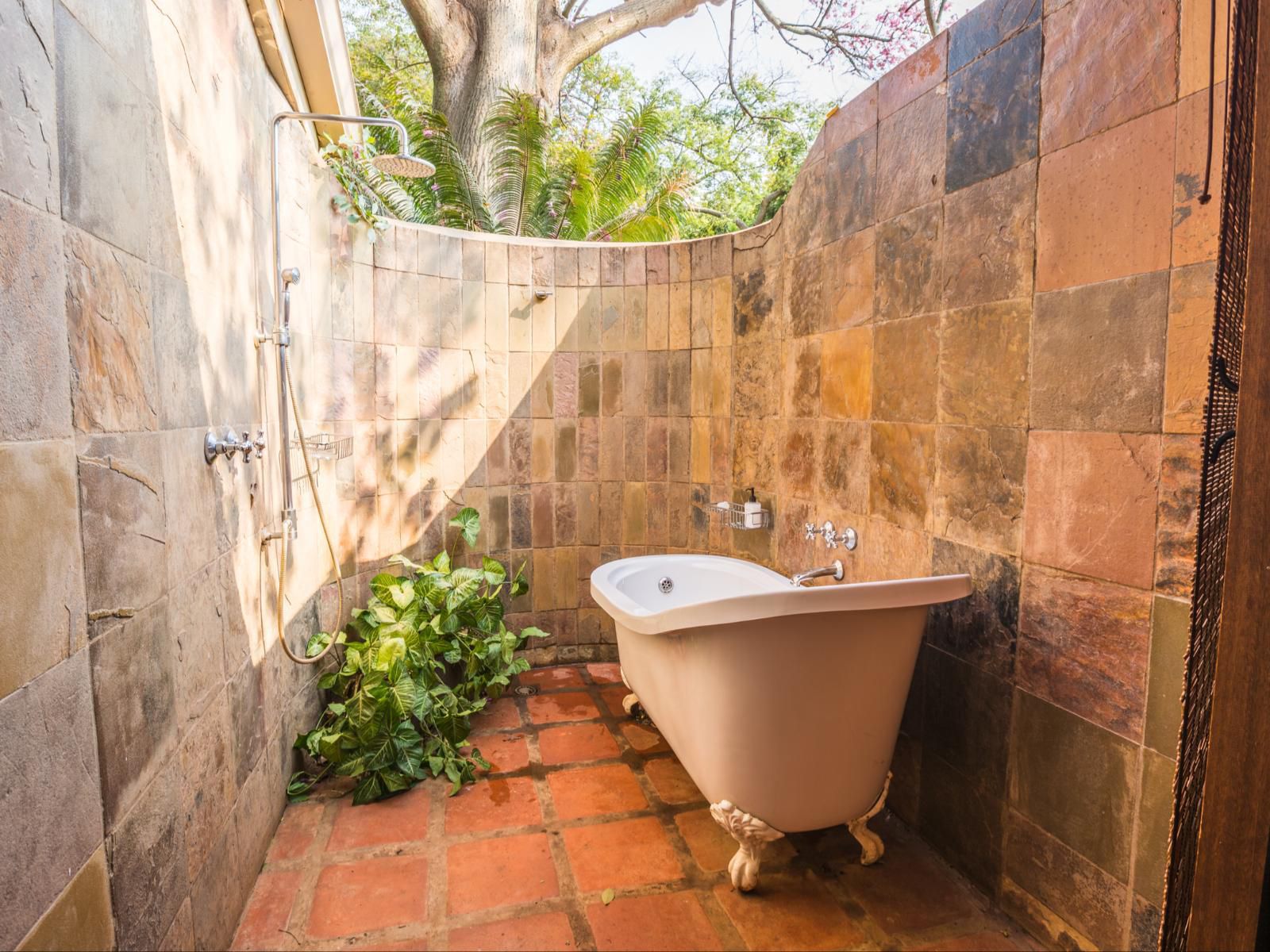 Sondela Nature Reserve And Spa Country House Bela Bela Warmbaths Limpopo Province South Africa Bathroom