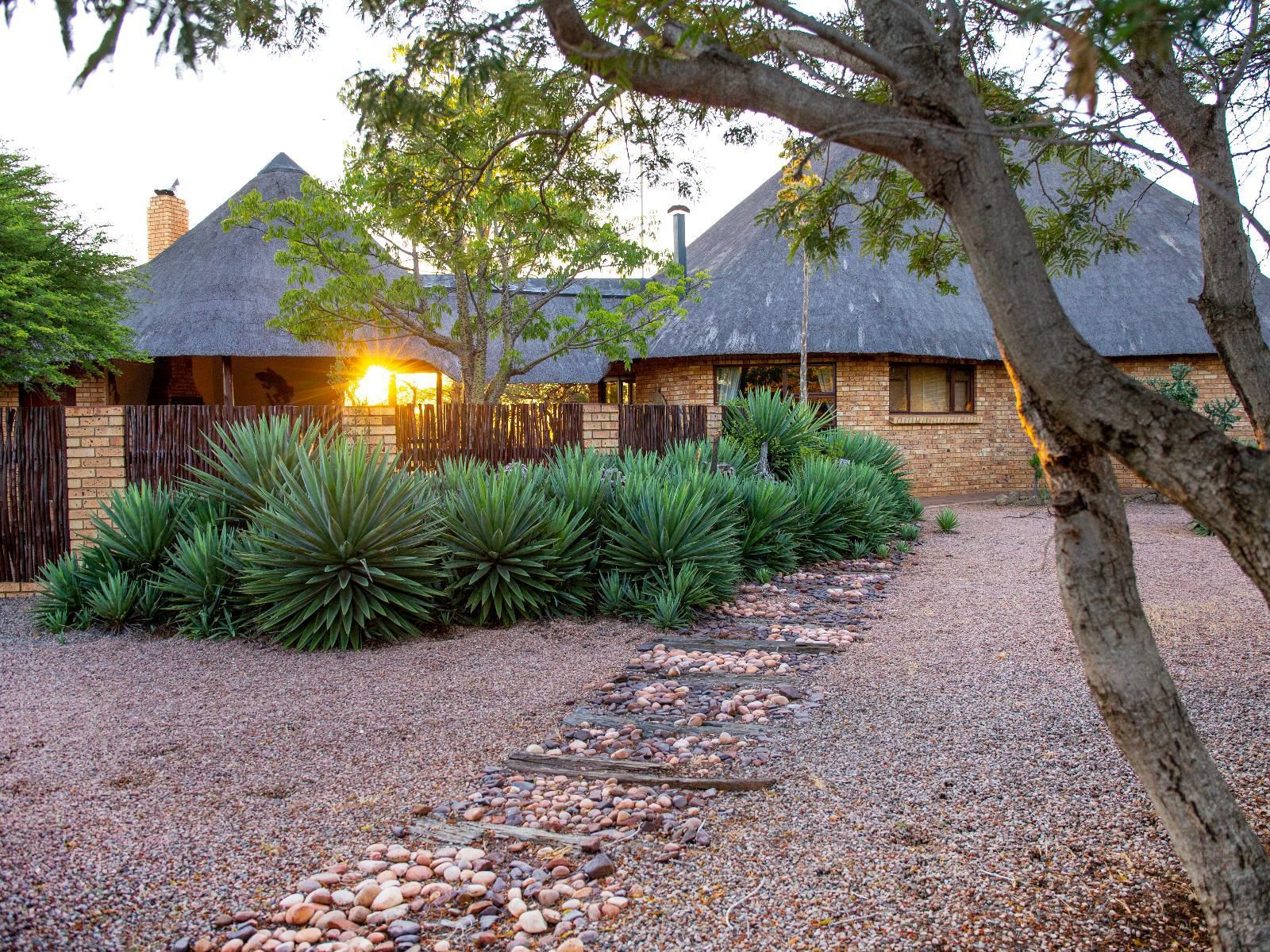 Sondela Nature Reserve And Spa Makhato Lodges Bela Bela Warmbaths Limpopo Province South Africa House, Building, Architecture, Plant, Nature