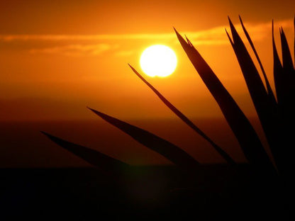 Songs Of The Sea Jeffreys Bay Eastern Cape South Africa Colorful, Silhouette, Sky, Nature, Sunset