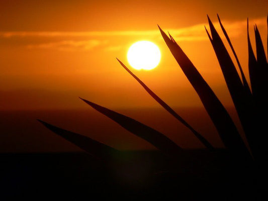 Songs Of The Sea Jeffreys Bay Eastern Cape South Africa Colorful, Silhouette, Sky, Nature, Sunset