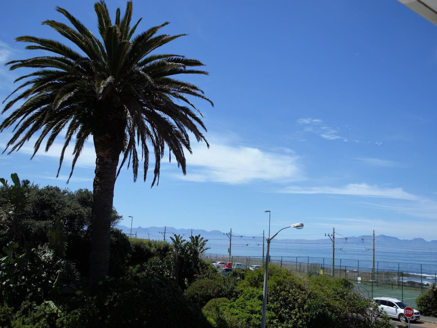 Sonnekus Guest House St James Cape Town Western Cape South Africa Palm Tree, Plant, Nature, Wood