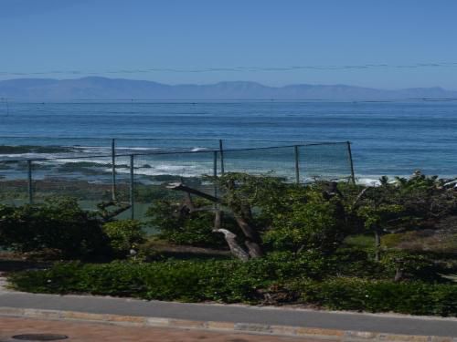 Sonnekus Guest House St James Cape Town Western Cape South Africa Beach, Nature, Sand, Palm Tree, Plant, Wood, Ocean, Waters