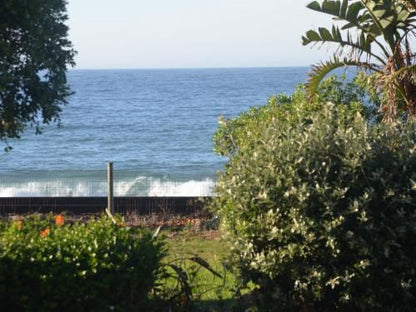 Sonnekus Guest House St James Cape Town Western Cape South Africa Beach, Nature, Sand, Palm Tree, Plant, Wood