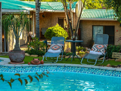 Sonneneck Guesthouse, Palm Tree, Plant, Nature, Wood, Swimming, Water Sport, Sport, Person, Swimming Pool