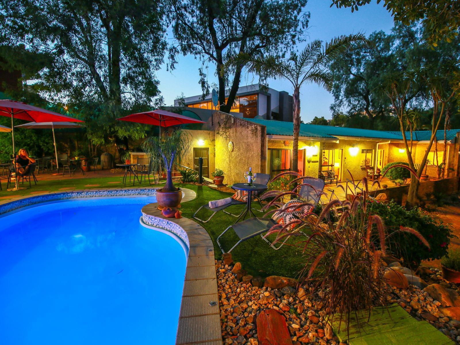 Sonneneck Guesthouse, Palm Tree, Plant, Nature, Wood, Swimming Pool