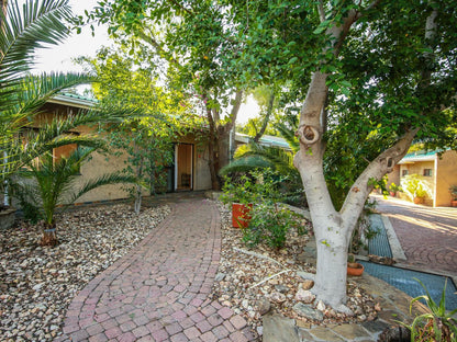 Sonneneck Guesthouse, House, Building, Architecture, Palm Tree, Plant, Nature, Wood, Garden