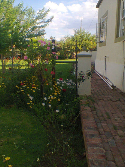 Sons Of The King Guesthouse De Rust Western Cape South Africa House, Building, Architecture, Plant, Nature, Garden