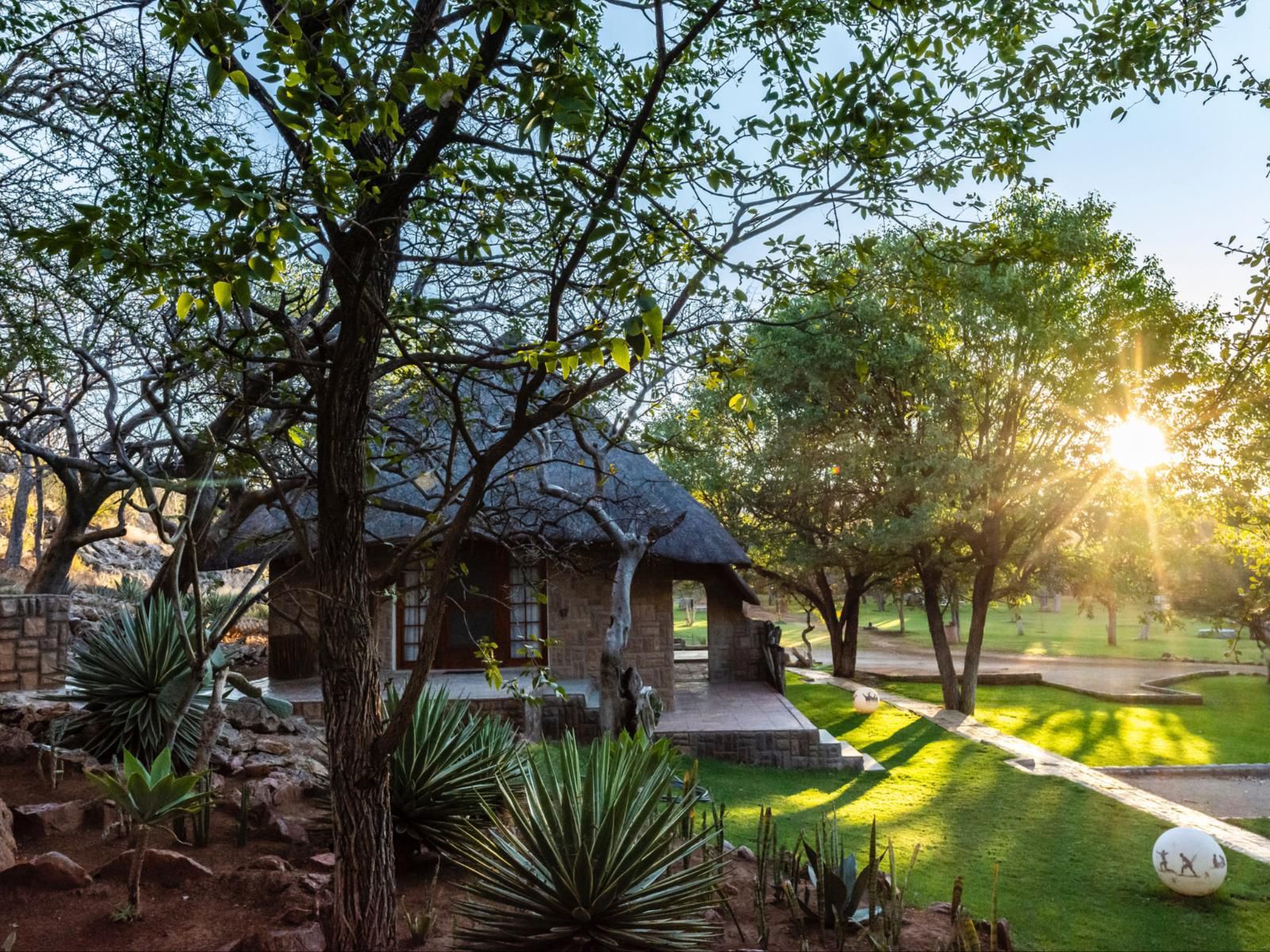 Sophienhof Lodge, Palm Tree, Plant, Nature, Wood