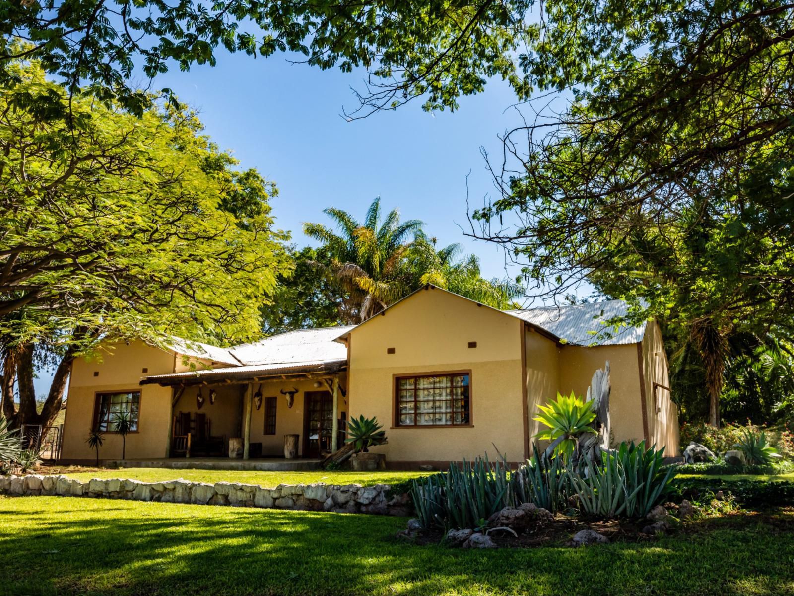 Sophienhof Lodge, Backpacker, House, Building, Architecture, Palm Tree, Plant, Nature, Wood