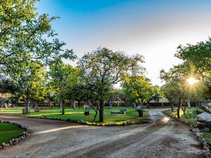 Sophienhof Lodge, Campsite, Tree, Plant, Nature, Wood