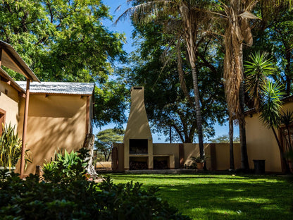 Sophienhof Lodge, Campsite, Palm Tree, Plant, Nature, Wood, Framing