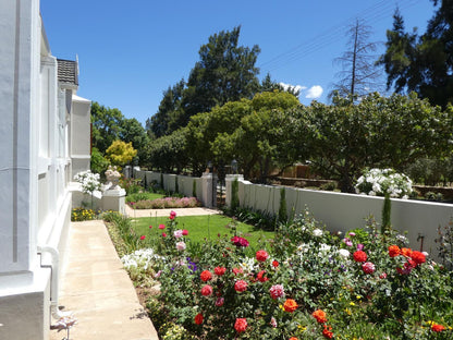 Sorgvry House Of Guests, House, Building, Architecture, Plant, Nature, Rose, Flower, Garden