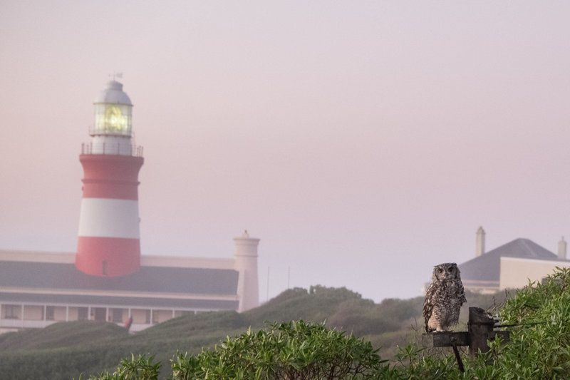 Soutbos And Janfrederik Self Catering Lagulhas Agulhas Western Cape South Africa Beach, Nature, Sand, Building, Architecture, Cliff, Lighthouse, Tower