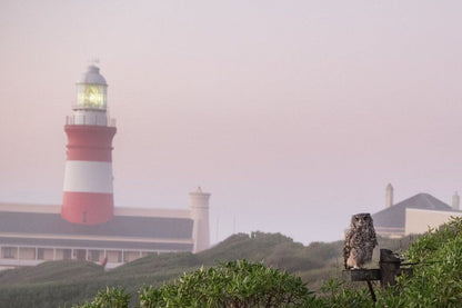 Soutbos And Janfrederik Self Catering Lagulhas Agulhas Western Cape South Africa Beach, Nature, Sand, Building, Architecture, Cliff, Lighthouse, Tower