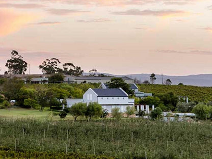 South Hill Guesthouse Bot River Western Cape South Africa Barn, Building, Architecture, Agriculture, Wood, Field, Nature