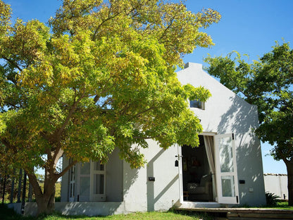 South Hill Guesthouse Bot River Western Cape South Africa House, Building, Architecture, Plant, Nature, Tree, Wood