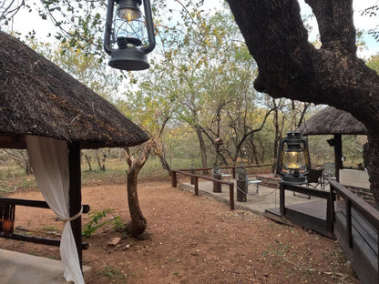 South Safari Lodge