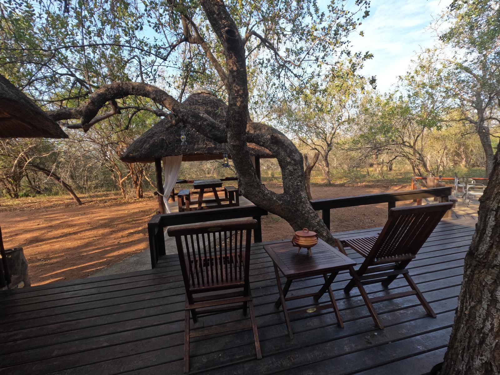 South Safari Lodge, Plant, Nature