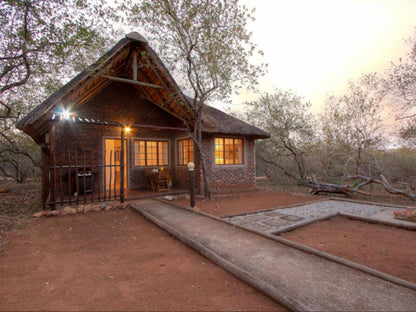 South Safari Lodge