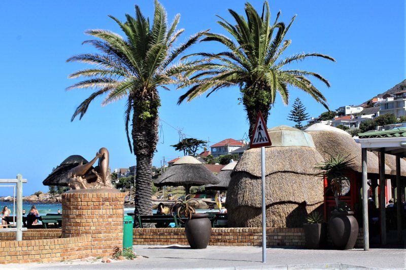 South Shore Harrier 202 Fish Hoek Cape Town Western Cape South Africa Palm Tree, Plant, Nature, Wood