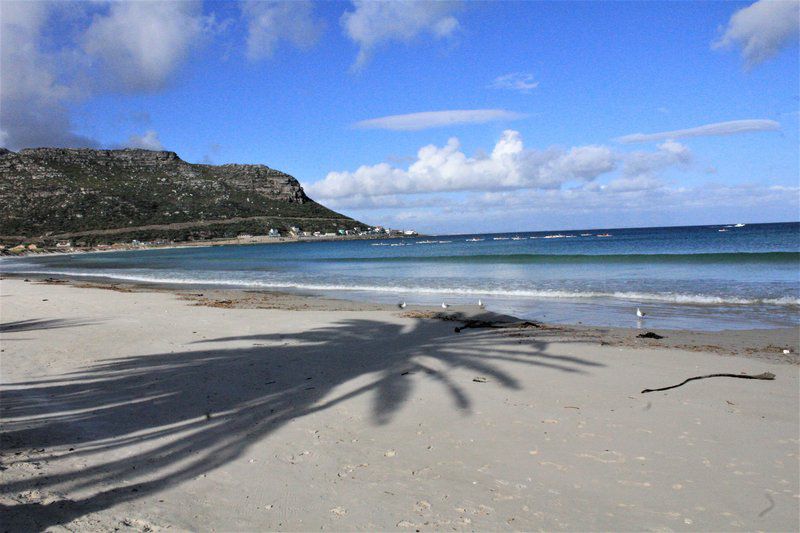 South Shore Harrier 202 Fish Hoek Cape Town Western Cape South Africa Beach, Nature, Sand