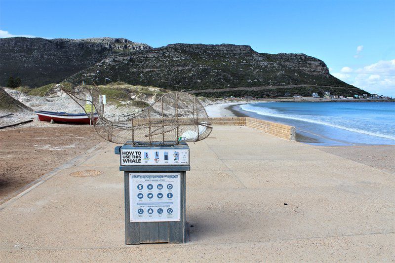 South Shore Harrier 202 Fish Hoek Cape Town Western Cape South Africa Beach, Nature, Sand