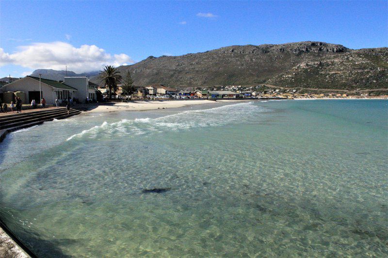 South Shore Harrier 202 Fish Hoek Cape Town Western Cape South Africa Beach, Nature, Sand, Palm Tree, Plant, Wood