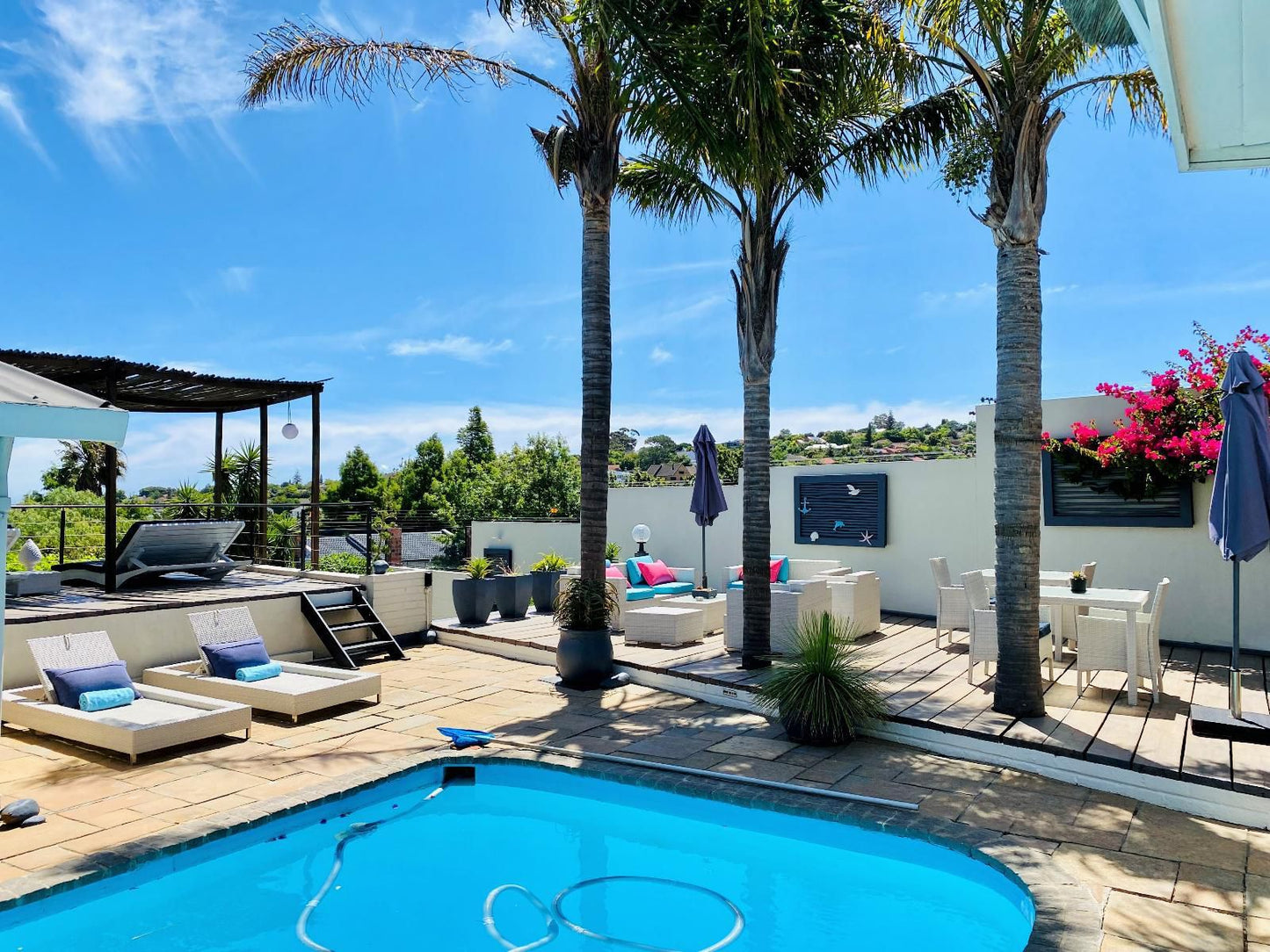 Southerncross Guest House Helena Heights Somerset West Western Cape South Africa Beach, Nature, Sand, Palm Tree, Plant, Wood, Swimming Pool