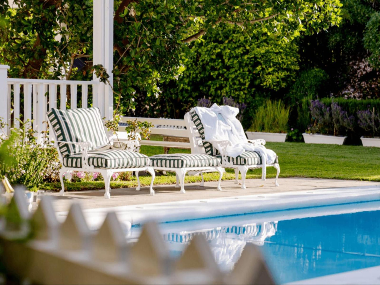 Southern Cross Beach House, Garden, Nature, Plant, Swimming Pool