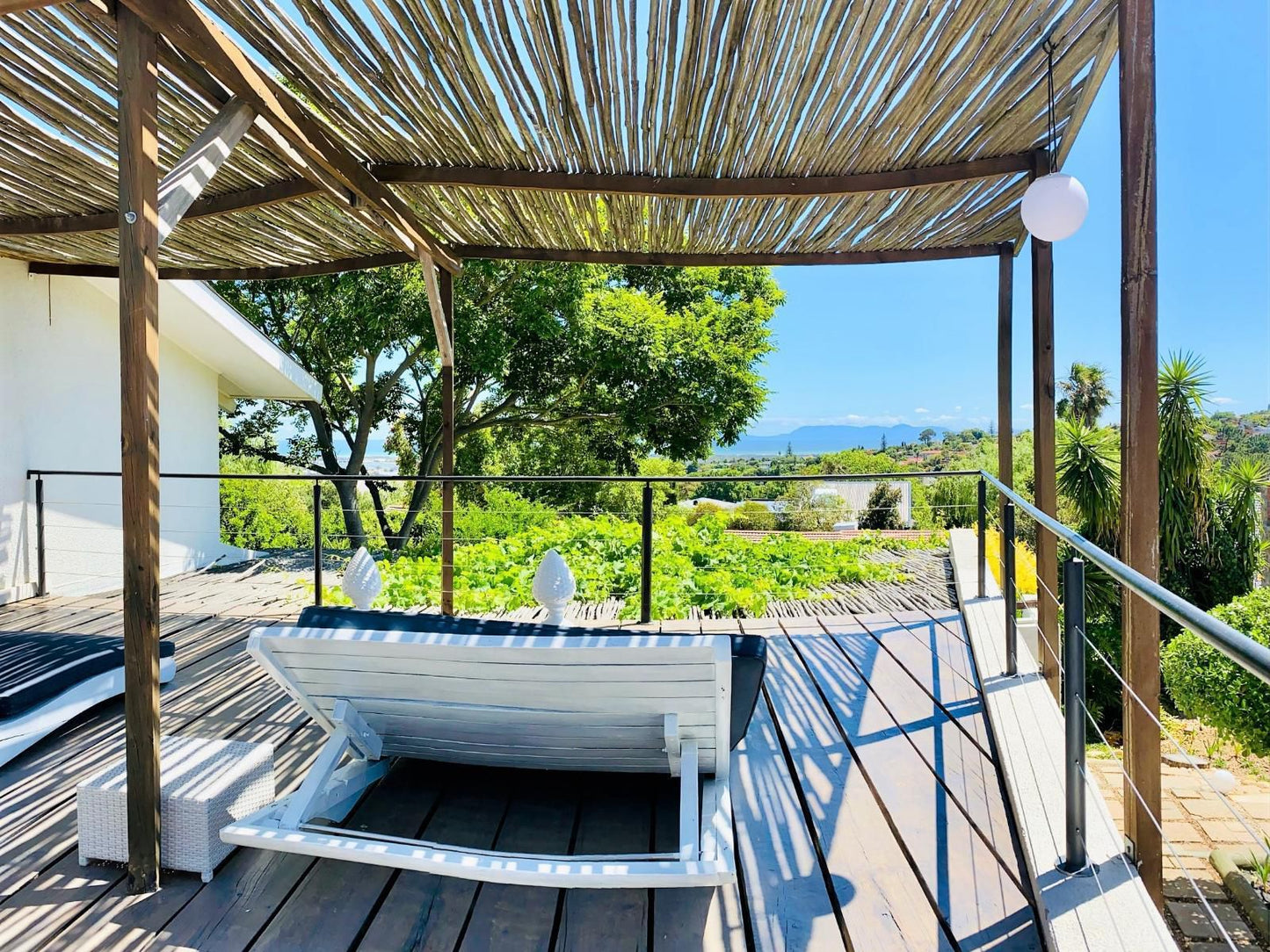 Southern Cross Guesthouse, Palm Tree, Plant, Nature, Wood, Swimming Pool