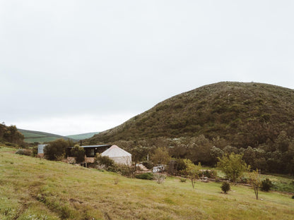 Southern Yurts Bot River Western Cape South Africa Highland, Nature